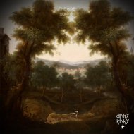 The Mae - Darkness