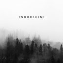 TourerDJ - Endorphine (Original Mix)