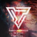 Fabio Guarriello - Connection