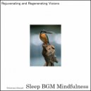 Sleep BGM Mindfulness - Nighttime Reflections