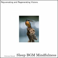 Sleep BGM Mindfulness - Instrumental Guitar Music for Relaxation
