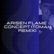 Arisen Flame - Concept
