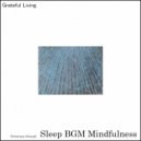 Sleep BGM Mindfulness - Silent Sleeping Seas (Original Mix)