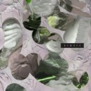 Need For Mirrors - Mango