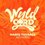Mario Tavares - No Mira