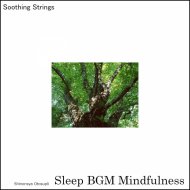 Sleep BGM Mindfulness - Moonlit Melodies of the Mountains