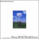 Sleep BGM Mindfulness - Golden Serenity