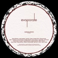 Apolinic - Tu esti tot ce vreau s​-​ascult