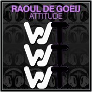 Raoul de Goeij - Attitude