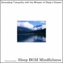 Sleep BGM Mindfulness - Dive Deep into the Sea of Cognitive Growth (Original Mix)