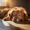 Siempre Lloviendo & Cachorros Bebes Orchestra & Amigo Canino Sonidos - Sesiones Pacíficas De Lofi Para Perros