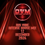 Djs Vibe - Intense House Mix 12 (December