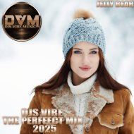 Djs Vibe - The Perffect Mix 2025 (Jelly B
