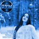 Djs Vibe - Vocal Trance Mix 2024/2025 (Winter Edition)