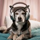 Lofi Study Man & Dog Music Club! & Dog Music Collections - Chill Dog Harmony