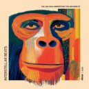 Interstellar Beats - The Ape Who Understood The Universe (Original Mix)