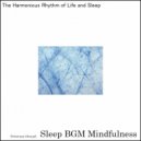Sleep BGM Mindfulness - Awakening Inner Calm in the Depths of Sleep and Healing