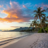 Chillout Calm Coffee, Sun Reflections & Soothing Endless - Coffee with Cookies