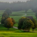 Jully - Hidden Cottage