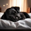 Esculturas sonoras colectivas & Musica-para-Relajar-Perros & Musicoterapia canina - Perros En Modo De Relación