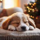 Unidad de alivio del dolor de cabeza & Zona de terapia canina & Radio de música para perros - Acordes Acogedores Caninos