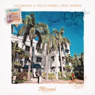 Hechmann & Hello honey.. feat. ROBINS - Since You Were Here