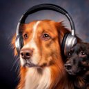 Functional Music & Sleepy Dog Music & X-Ray Dog Music - Peaceful Dog Journey