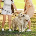 Cliruma & Music For Dogs With Anxiety & Radiant Sounds - Radiant Melodies for Loyalty ()