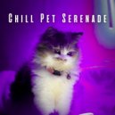 Calm Stress Relief & Music for Pets & Pet Chillout Music - Lofi Sounds for Pets