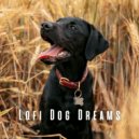 Lofi City Colours & Songs for Dogs to Sleep To & Lofi Dreams - Calmness in Lofi Dog Sleep ()