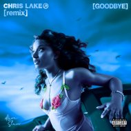 Chris Lake & Ayra Starr - Goodbye (Warm Up)