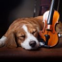 Música acogedora de lujo & Música para Cachorros Felices & Jukebox de música para perros - Energía Para Perros ()