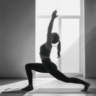 Olas Susurrantes & Yoga del mono & Bosque negro - Balance De Yoga En Progreso