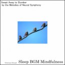 Sleep BGM Mindfulness - Dreaming through the Cosmic Cycles of Sleep (Original Mix)