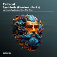 Callecat & Forty Cats - Interconnecting Echoes