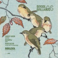 marchesan - Flying Over The Mountains