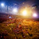 Pan Flute Music Society & Forest Soundscape & Elevator Background Music Classics - Soft and Deep Tones ()