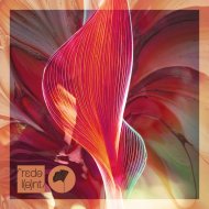 ASHER SWISSA, Anorre - Beza