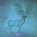 Raumlehre - Toroidal Vacuum
