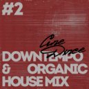 Cine Dxnce - Downtempo & Organic House Mix #2