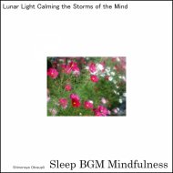 Sleep BGM Mindfulness - Mystical Moments Cradled by the Gentle Strums of Neurofeedback