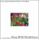 Sleep BGM Mindfulness - Astral Dreams in Brainwave Serenity (Original Mix)