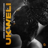 Adem Bogoceli, Farenthide - Ukweli