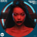Ercan Ates - Drop The Pin