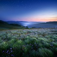 Soothing ASMR & Flamespad Nature Fire Sounds & Owl Sounds Recordings - Midnight Calm