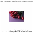 Sleep BGM Mindfulness - Heart\'s Voyage Guided by Acoustic Engineering (Original Mix)