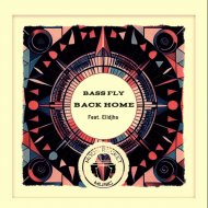 Bass Fly feat. Elidjha - Back Home