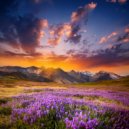 Theta Wave Deep Relaxation & Ocean Island & Water sound bank - Canvas Of Still Motion