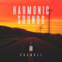 Shankel - Harmonic Sounds 100