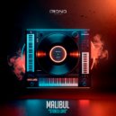 Malibul Music - Stereo Love (Original Mix)
